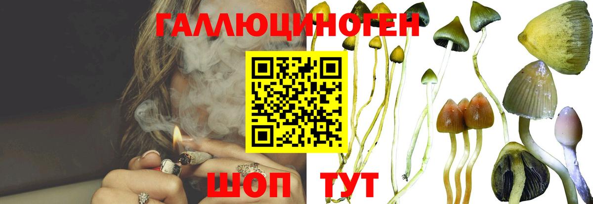 Галлюциногенные грибы мухоморы  Галлюциногенные грибы MAGIC MUSHROOMS  Тула  Вход с VPN 